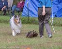 20180922-cca-1339