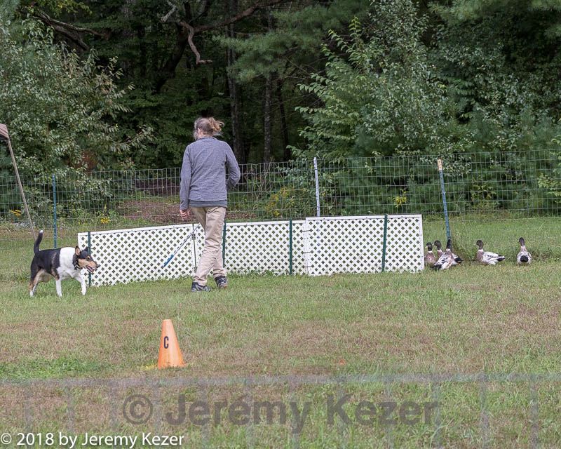 20180922-cca-1200.jpg