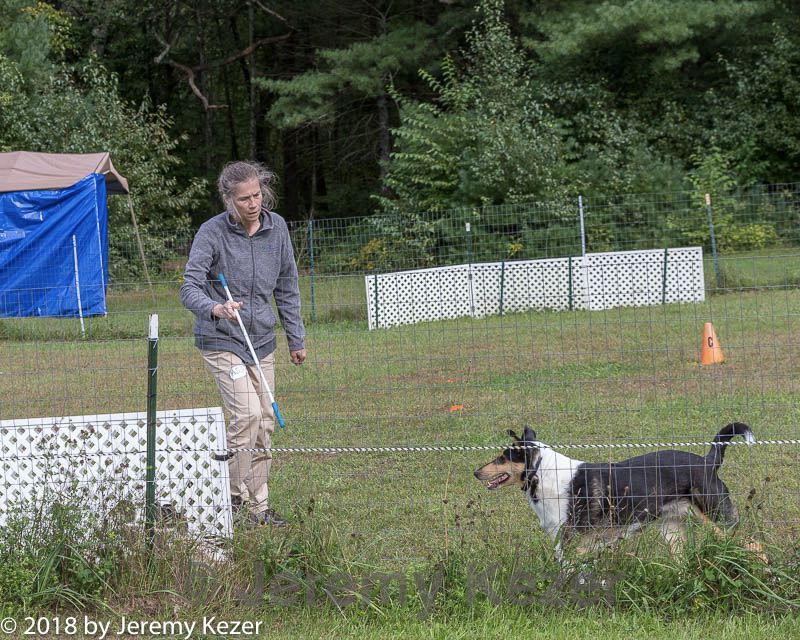 20180922-cca-1206.jpg