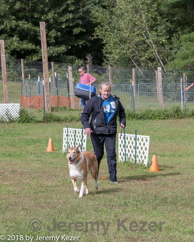20180922-cca-1253.jpg