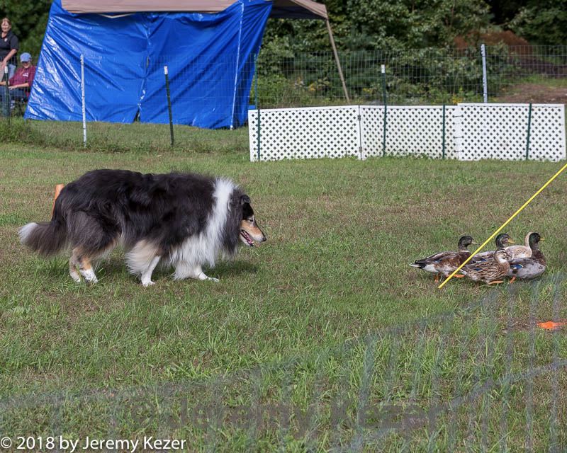 20180922-cca-1273.jpg