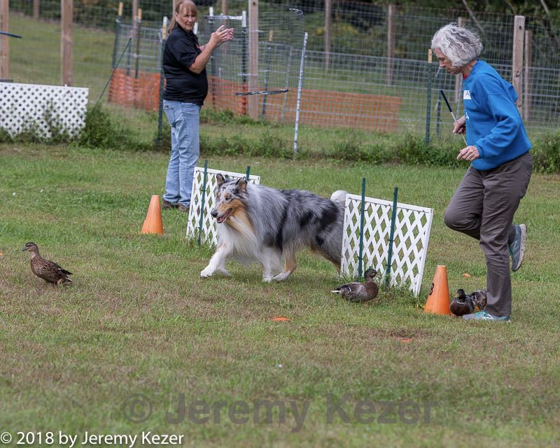 20180922-cca-1328.jpg