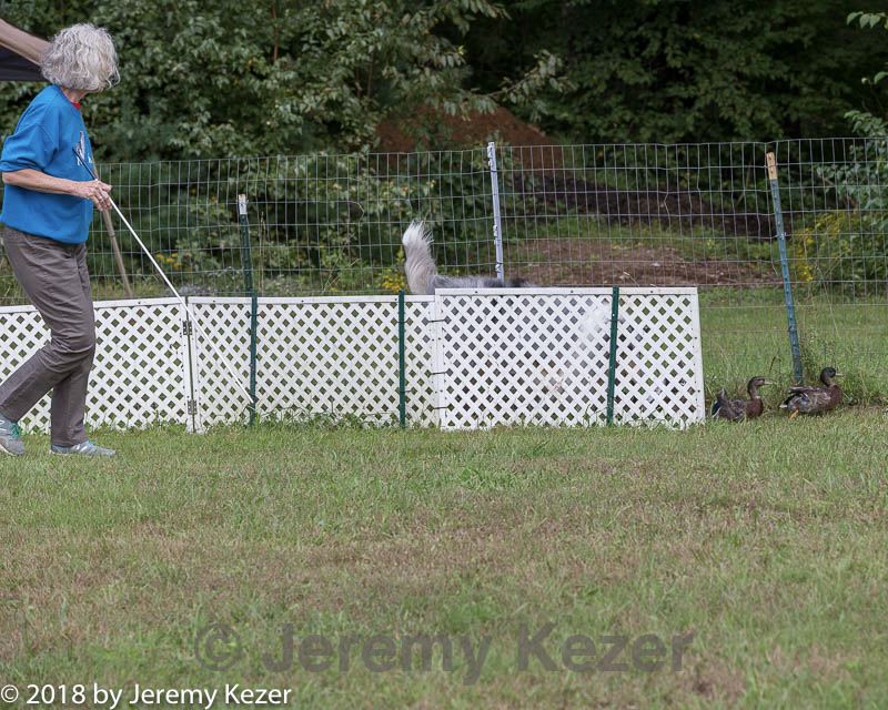 20180922-cca-1333.jpg
