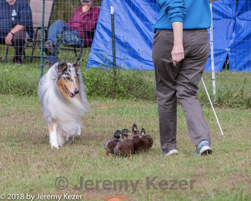 20180922-cca-1339.jpg