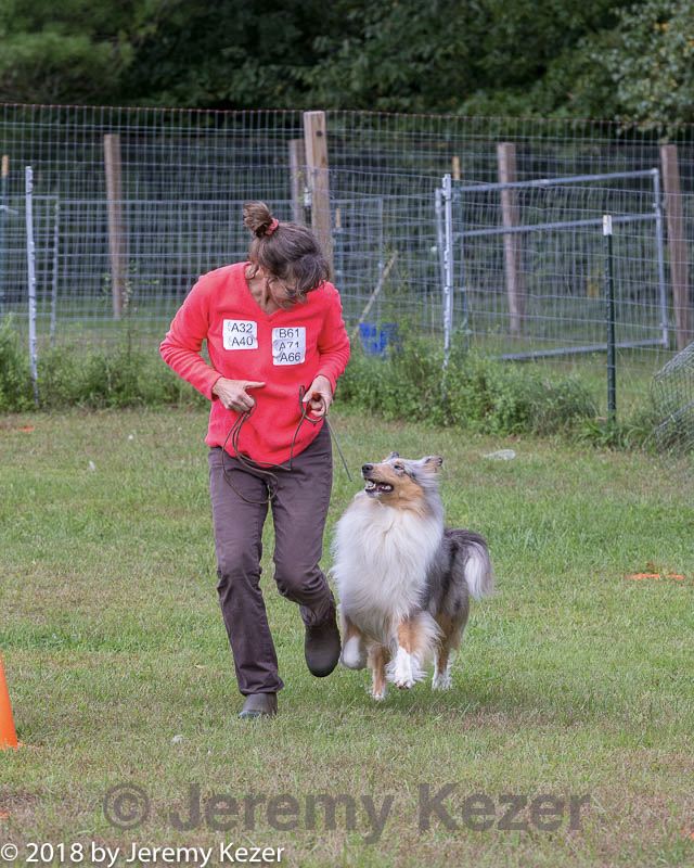 20180922-cca-1437.jpg