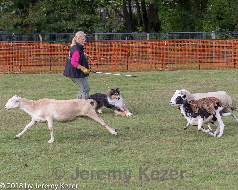 20180922-cca-1585.jpg