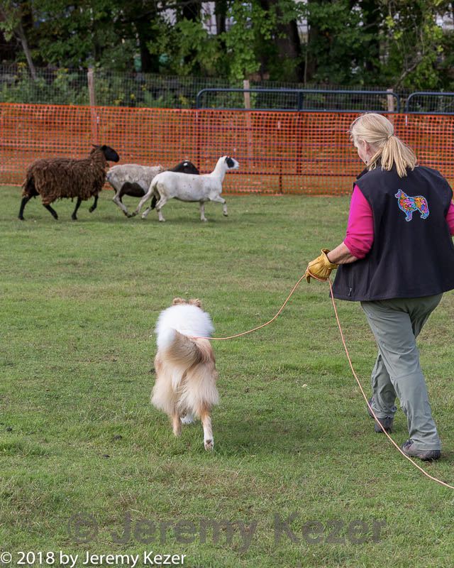 20180922-cca-1593.jpg