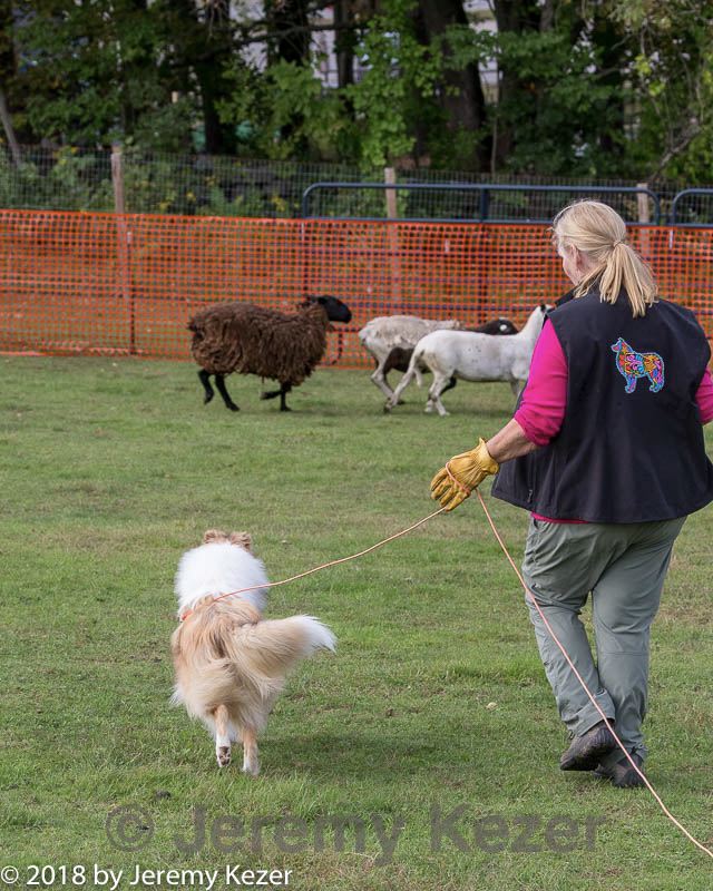 20180922-cca-1594.jpg