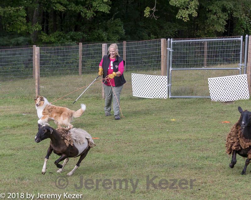 20180922-cca-1608.jpg