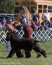 20180929-wc-0376