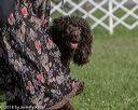 20180929-wc-0326
