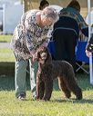20180929-wc-0080