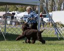 20180929-wc-0090