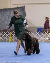 20190111-asc-0475