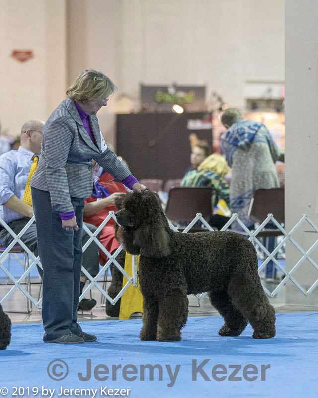 20190111-asc-0593.jpg