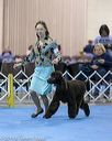 20190111-asc-0172