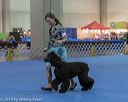 20190111-asc-0185