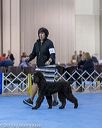 20190111-asc-0272
