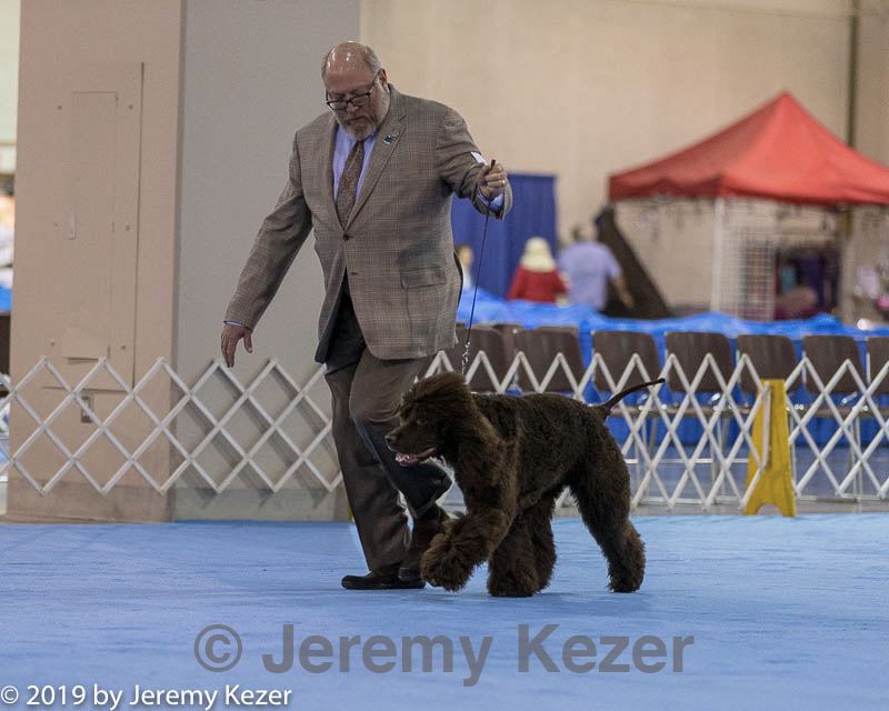 20190111-asc-0054.jpg