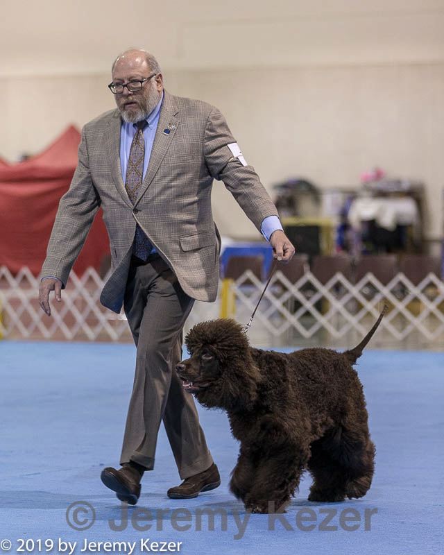 20190111-asc-0076.jpg