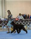 20190111-asc-0125