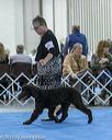 20190112-asc-0145