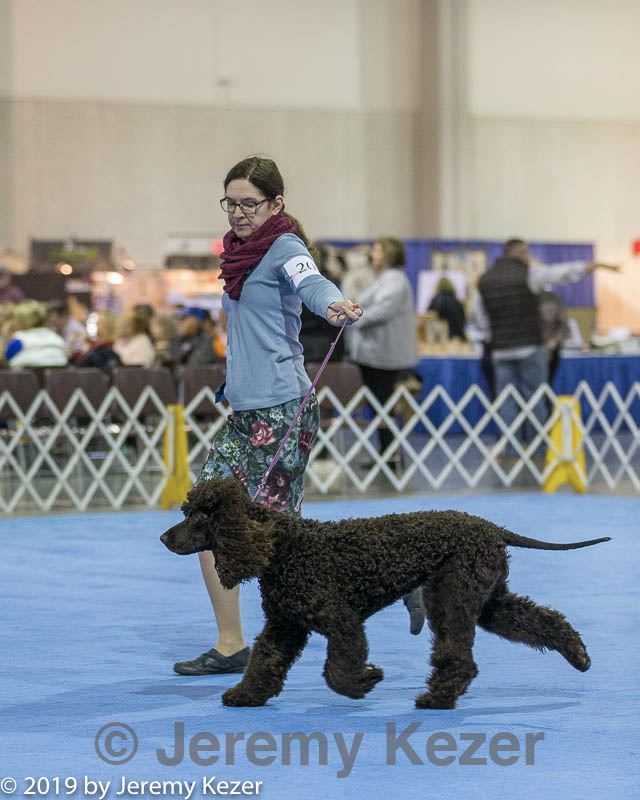 20190112-asc-0309.jpg