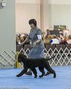 20190112-asc-0286