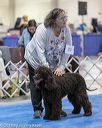 20190112-asc-0327