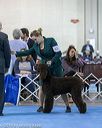 20190112-asc-0103