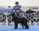 20190113-asc-0003