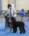 20190113-asc-0039