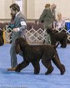 20190113-asc-0050