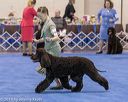 20190113-asc-0067