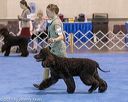 20190113-asc-0072