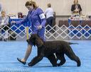 20190113-asc-0083