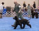 20190113-asc-0104