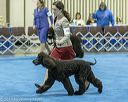 20190113-asc-0119