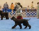 20190113-asc-0127