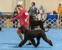 20190113-asc-0150
