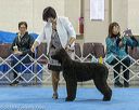 20190113-asc-0181