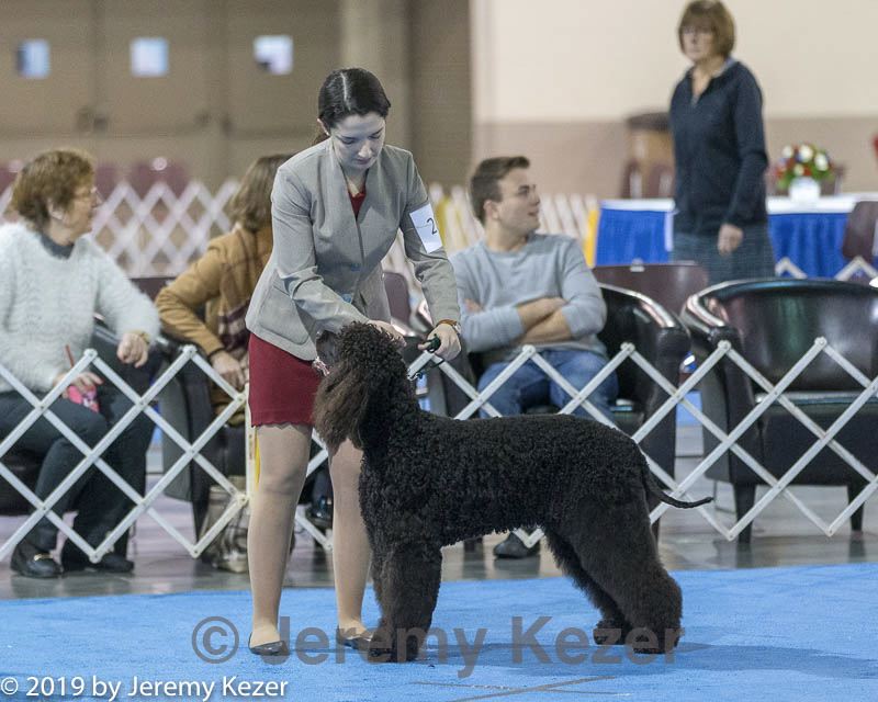 20190113-asc-0007.jpg