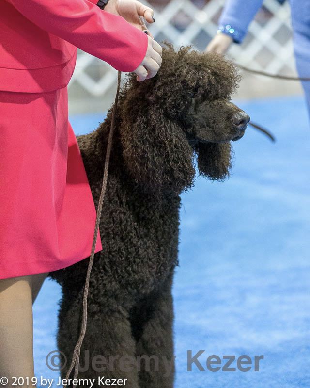 20190113-asc-0018.jpg