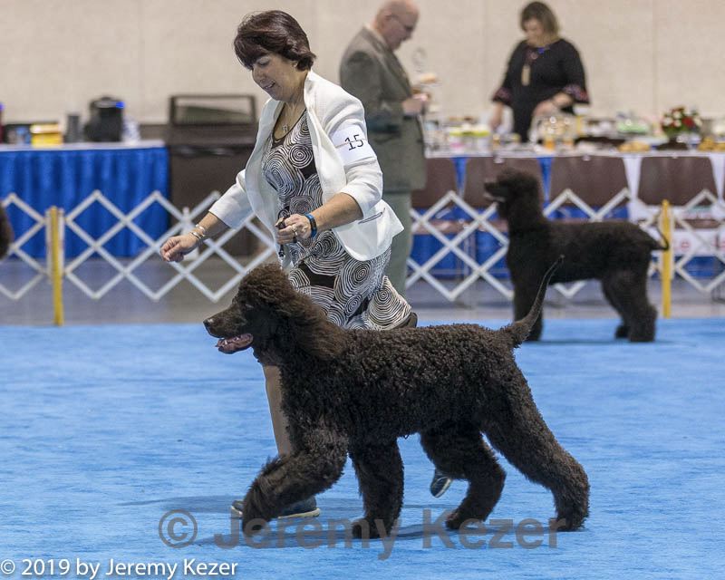 20190113-asc-0028.jpg