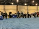 20190111-asc-0022