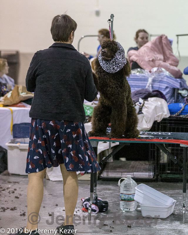 20190111-asc-0003.jpg