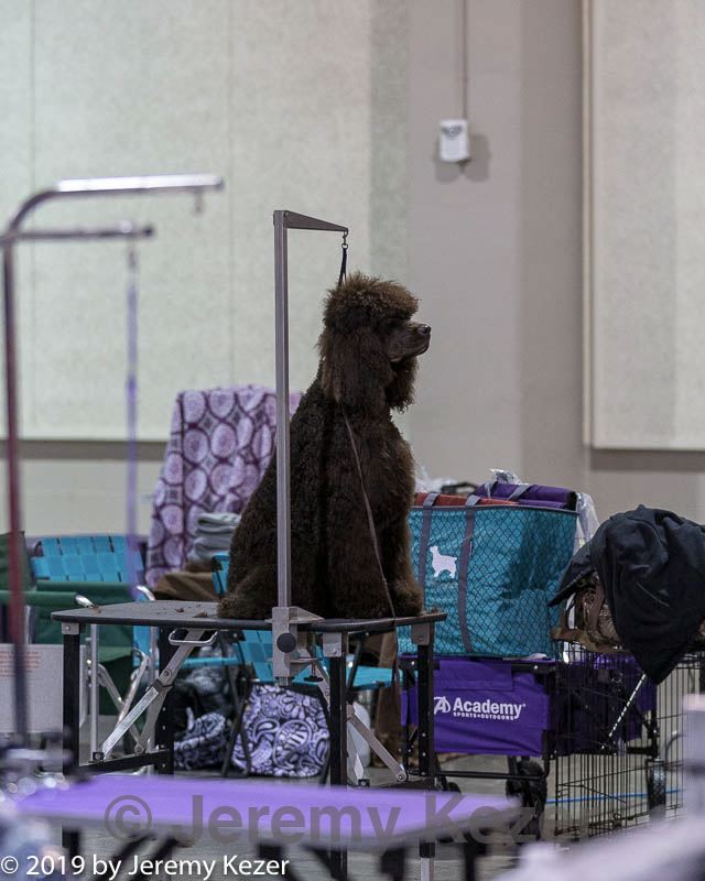 20190111-asc-0008.jpg