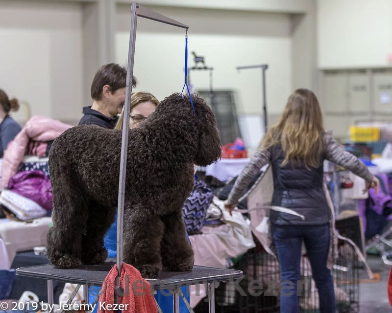 20190111-asc-0015.jpg