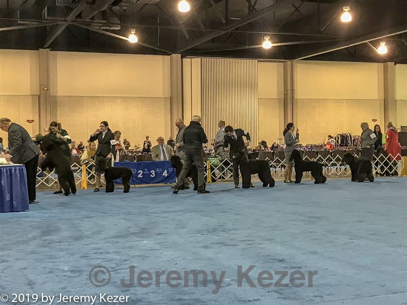 20190111-asc-0022.jpg