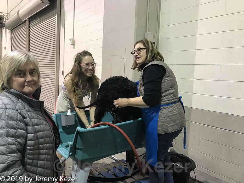20190112-asc-0134.jpg